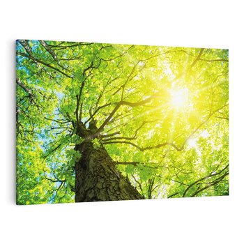 Obraz na płótnie 120x80 - Drzewo pod Słońcem: Łączność z Naturą - drzewo, słońce