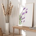 Plakat w ramie 40x50 - Delikatny Urok - lawenda, kwiaty - rama drewno