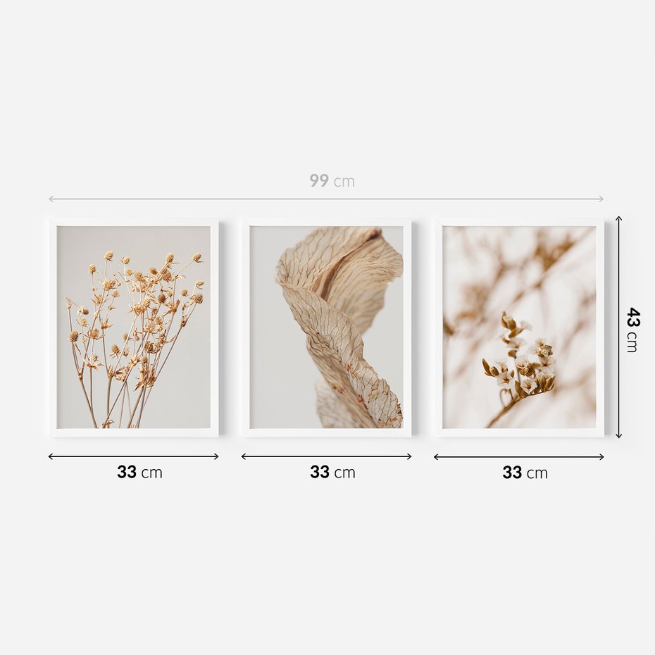 Zestaw obrazy w ramie 30x40 galeria - Suche, kwiaty, pampas, trawy, boho - rama biała