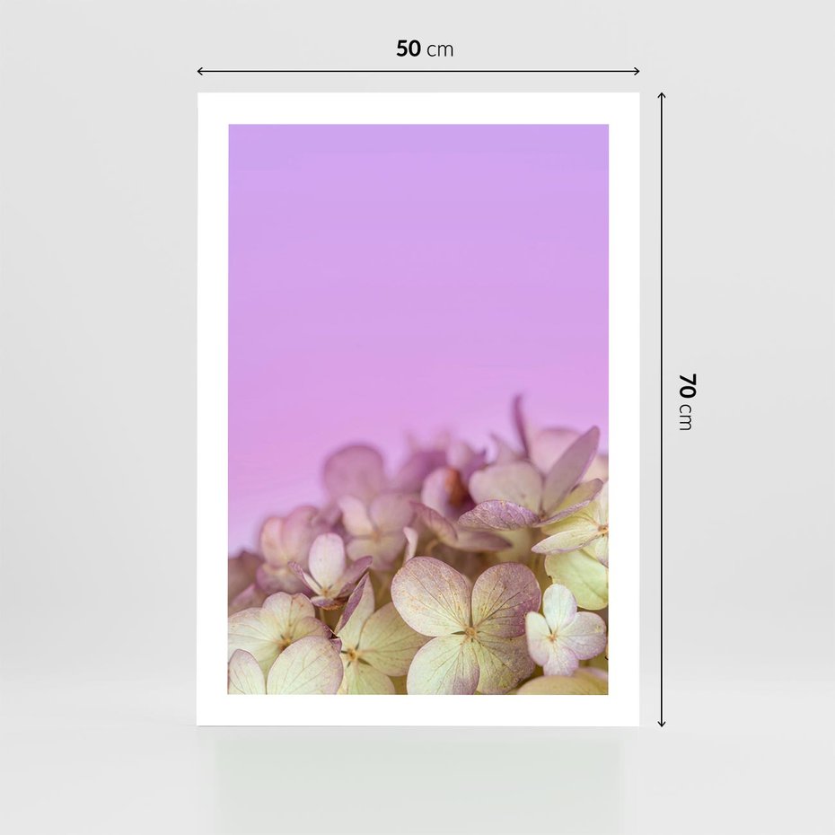 Plakat bez ramy 50x70 - Kwiatowa Uroda - kwiaty, hortensje