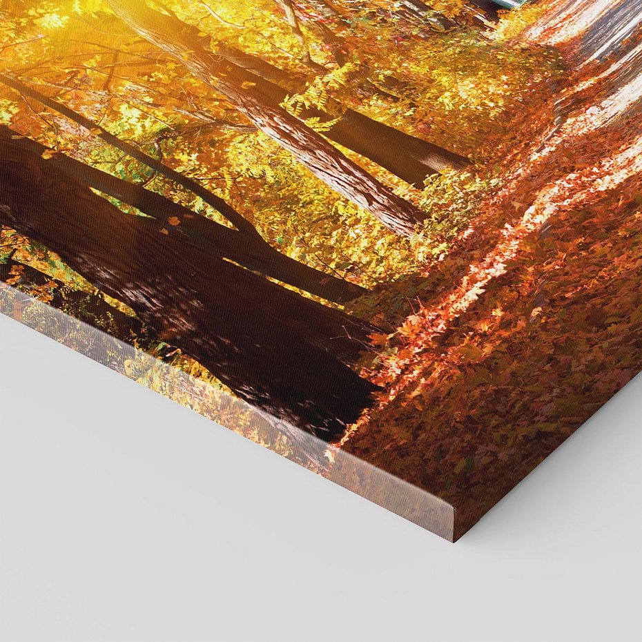 Obraz na płótnie 120x80 - Jesienna Droga: Przechadzka wśród Drzew - jesień, droga