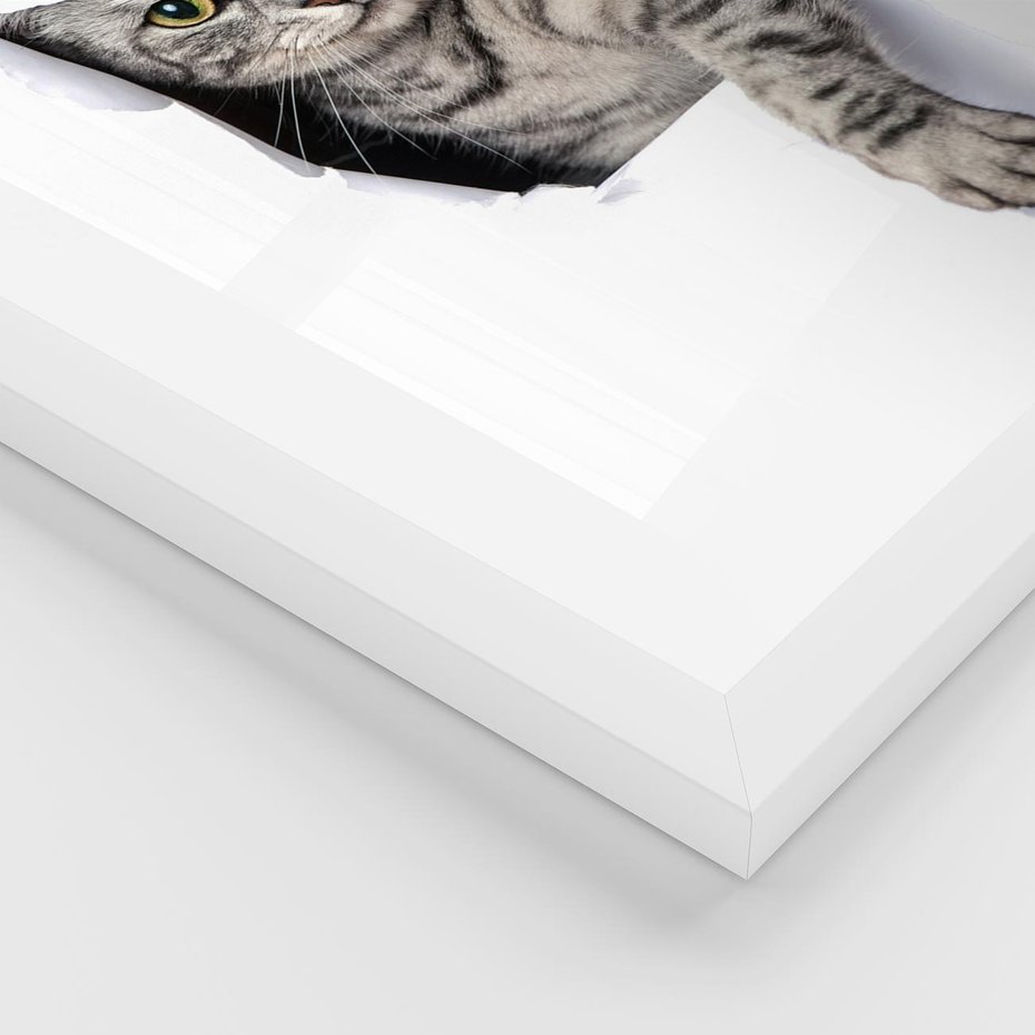 Plakat w ramie 30x40 - Tajemniczy kot i jego świat - kot, dziura - rama biała