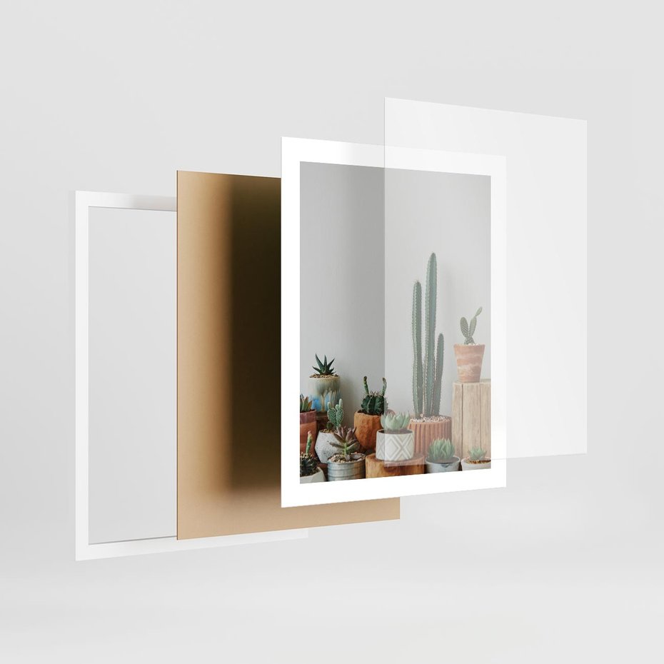 Plakat w ramie 40x50 - Naturalna Harmonia - kaktusy, liście - rama biała