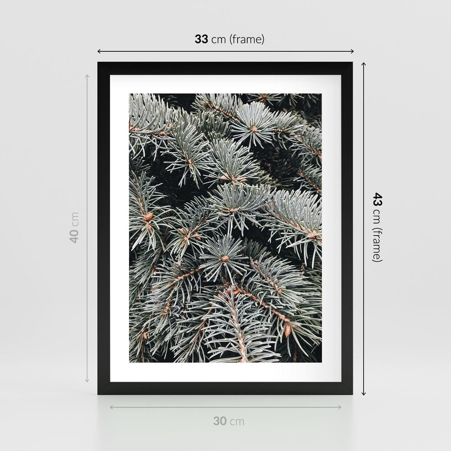 Plakat w ramie 30x40 - Zima na Gałęziach - sosnowe gałęzie, igły - rama czarna