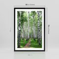 Plakat w ramie 50x70 - Magia lasu pełnego brzóz - las, brzozy - rama czarna