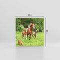 Obraz na płótnie 80x80 - Galopujące konie - konie, galop