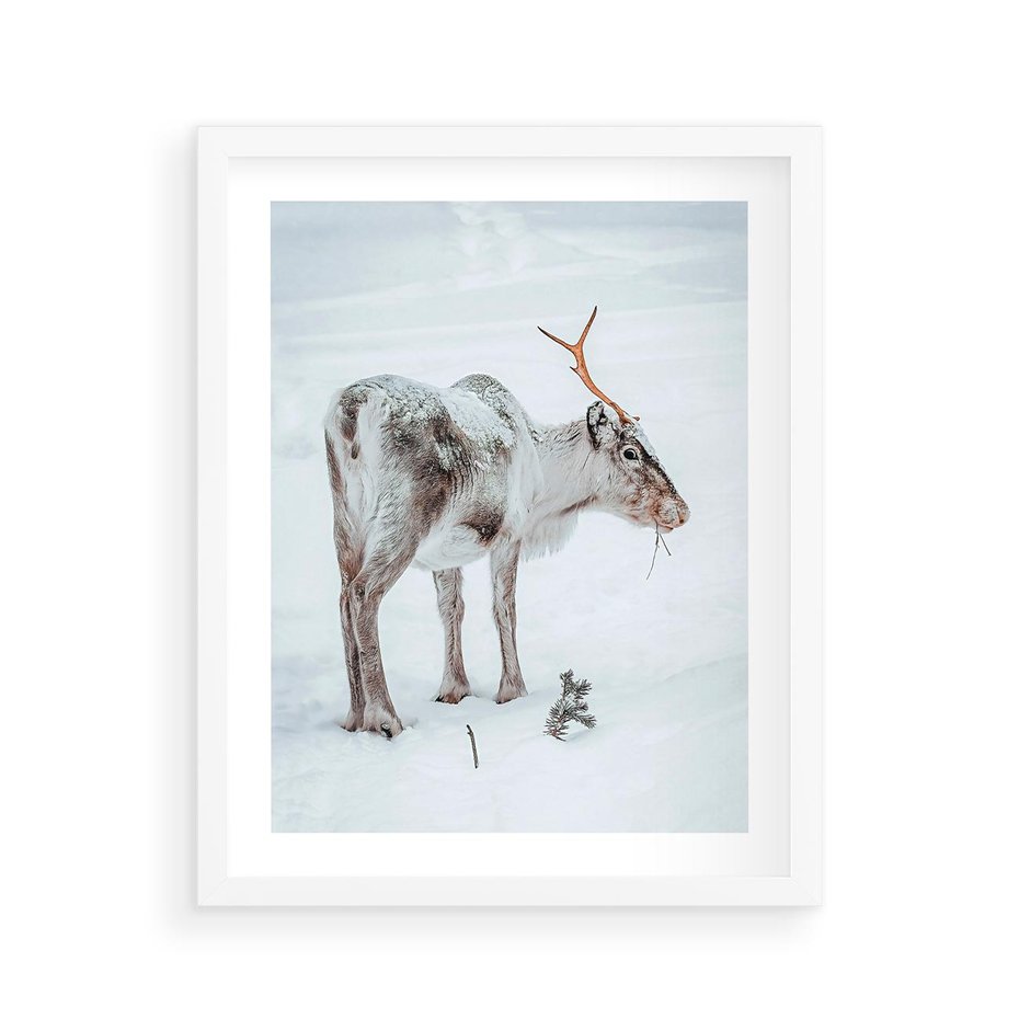 Plakat w ramie 40x50 - Magia Świąt - renifer na śniegu, śnieg - rama biała