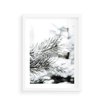 Plakat w ramie 40x50 - Chwila Zimowej Magii - iglasta gałązka, śnieg - rama biała