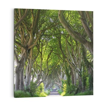 Obraz na płótnie 50x50 - Magiczny Las - drzewa, las