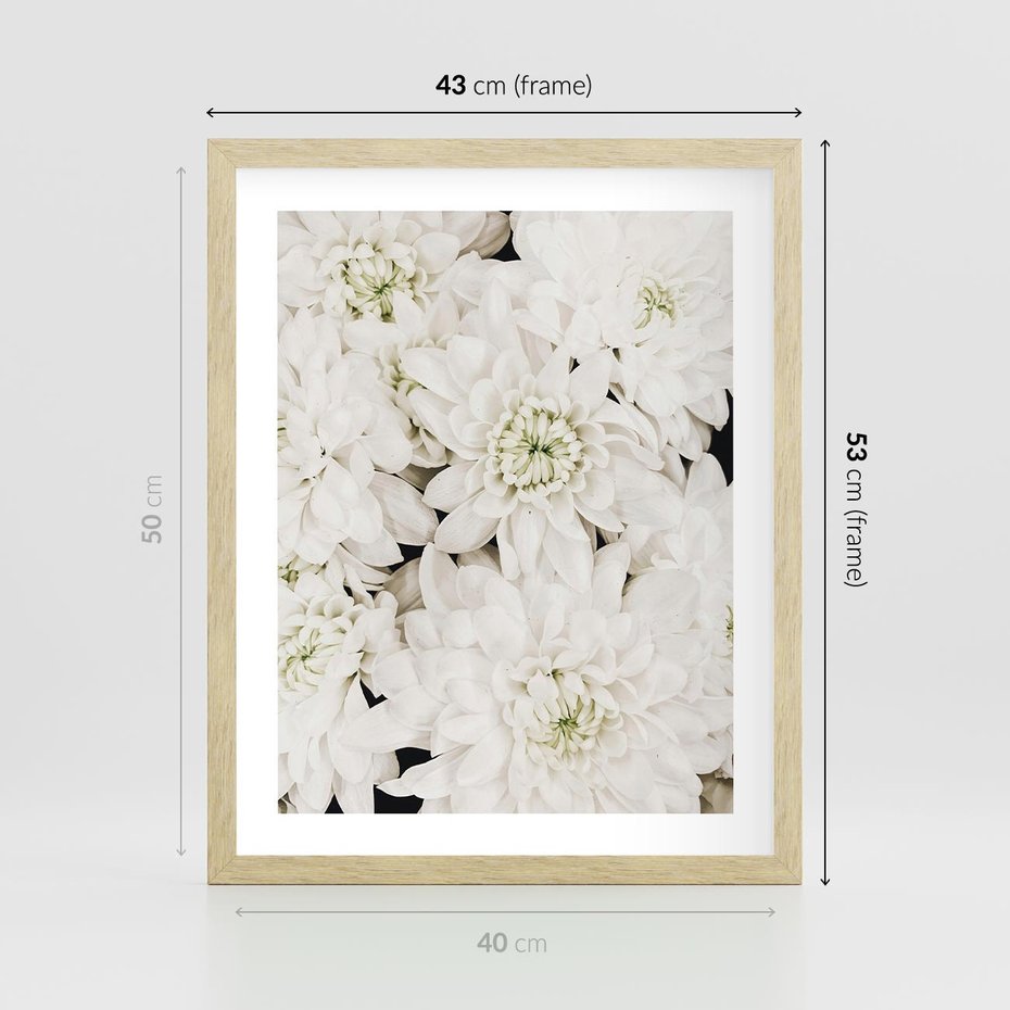 Plakat w ramie 40x50 - Białe Kwiaty: Płatki Delikatności - białe kwiaty, zbliżenie - rama drewno