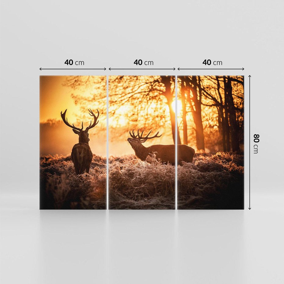 Obraz na płótnie 120x80 - Jeleń w lesie: Spotkanie w dziczy - jeleń, jelenie