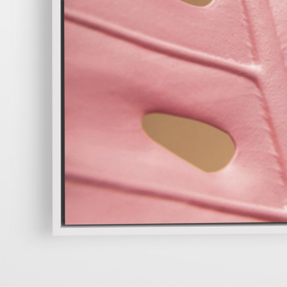 Obraz w ramie 50x50 - Różowa monstera w pełnym rozkwicie - różowa, monstera - rama biała