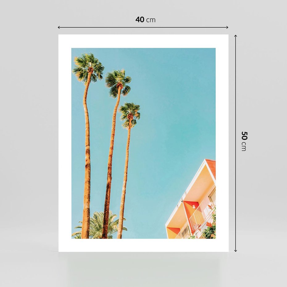 Plakat bez ramy 40x50 - Letnie Marzenia - palmy, na tle nieba