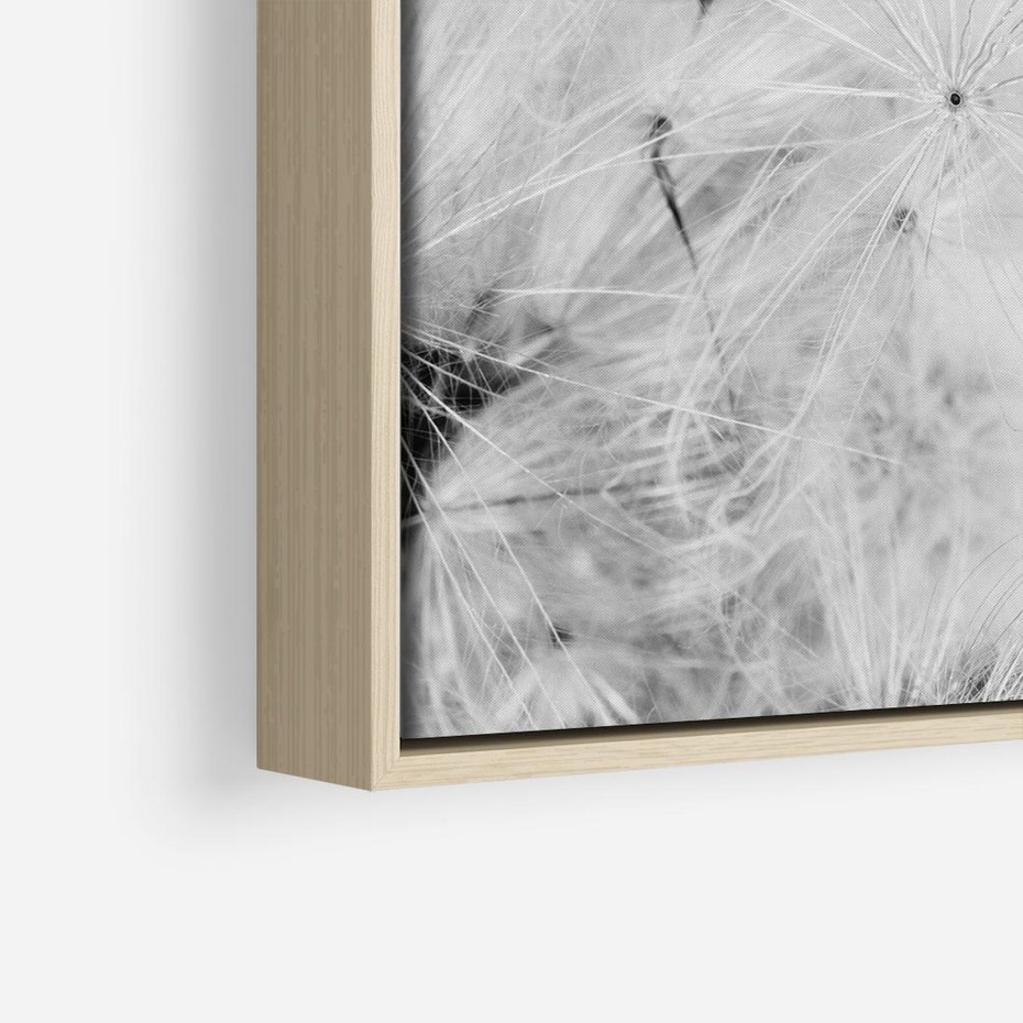 Obraz w ramie 80x80 - Zdmuchnięty Puch - dmuchawce, delikatne - rama drewno
