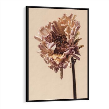 Obraz w ramie 70x100 - Delikatne piękno - suche, kwiaty - rama czarna