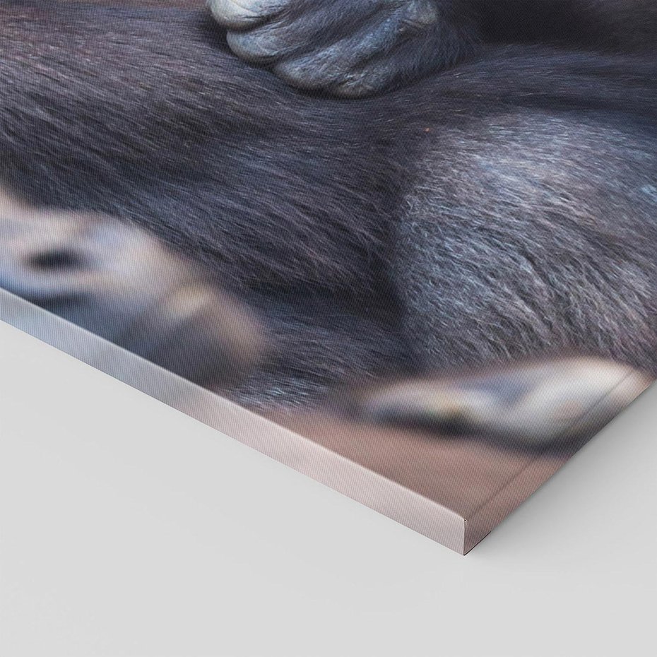 Obraz na płótnie 50x70 - Małpy w ich naturalnym środowisku - małpy, szympansy