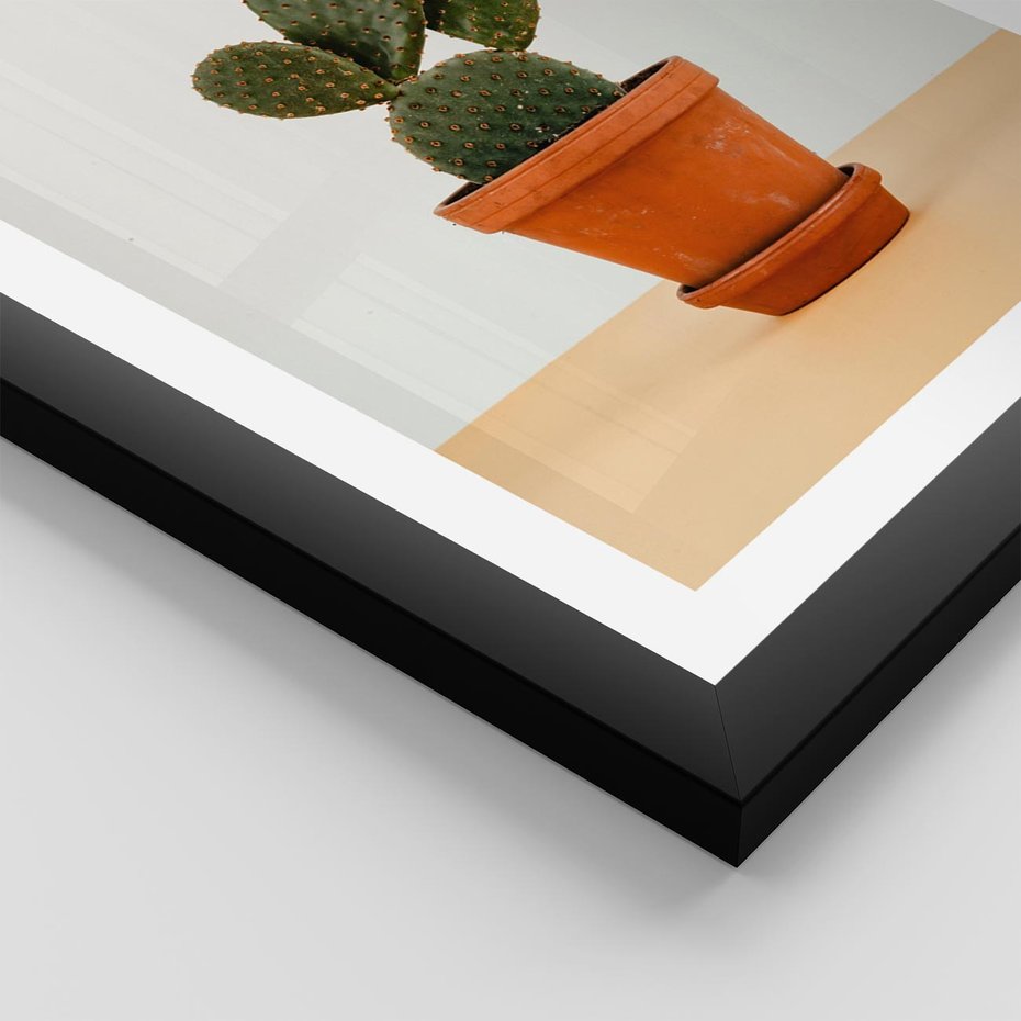 Plakat w ramie 40x50 - Kwiatowy taniec kaktusa - kaktus, kwiat - rama czarna