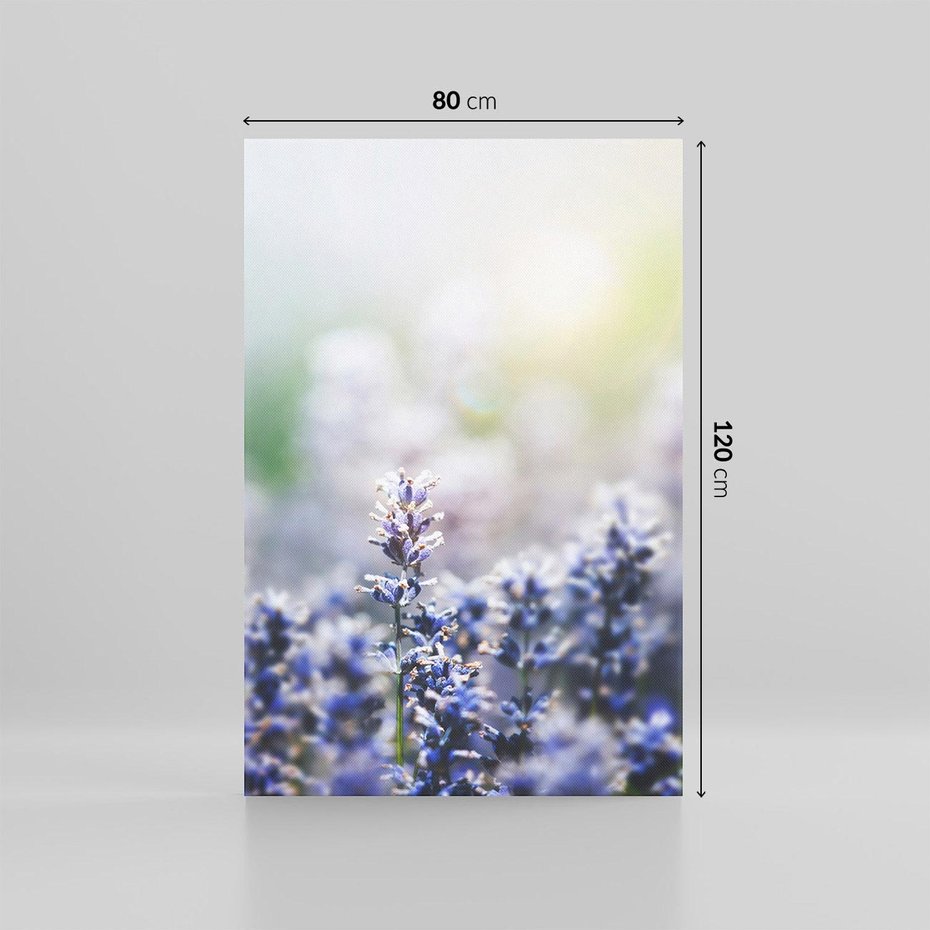 Obraz na płótnie 80x120 - Delikatna Uroda Natury - wrzosy, fiolet