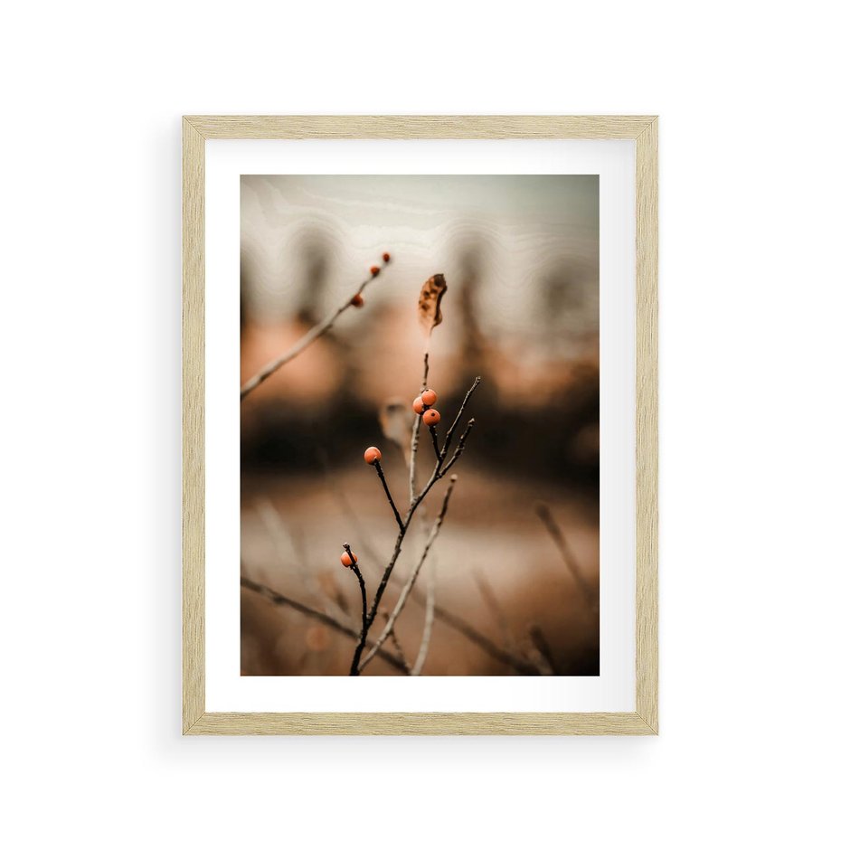 Plakat w ramie 30x40 - Jarzębina w Pejzażu - jesień, gałązka - rama drewno