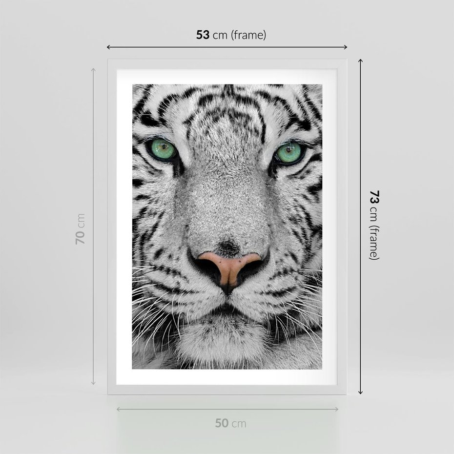 Plakat w ramie 50x70 - Magia Białego Tygrysa - biały, tygrys - rama biała