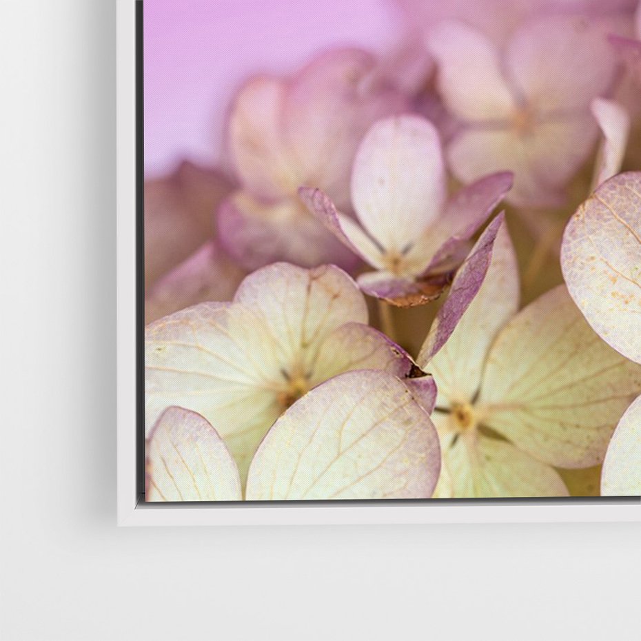 Obraz w ramie 80x120 - Kwiatowa Uroda - kwiaty, hortensje - rama biała