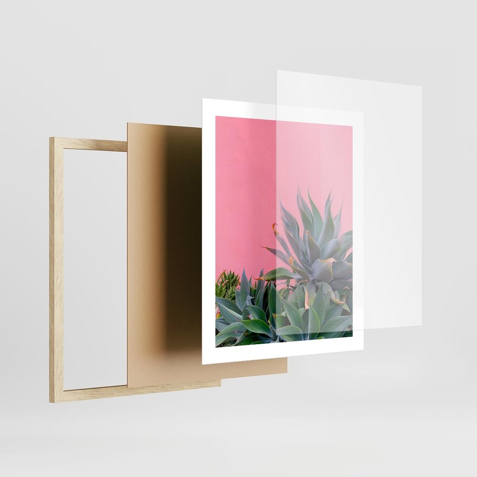 Plakat w ramie 40x50 - Tropikalne Liście na Różowej Ścianie - różowa ściana, tropikalne liście na jej tle - rama drewno