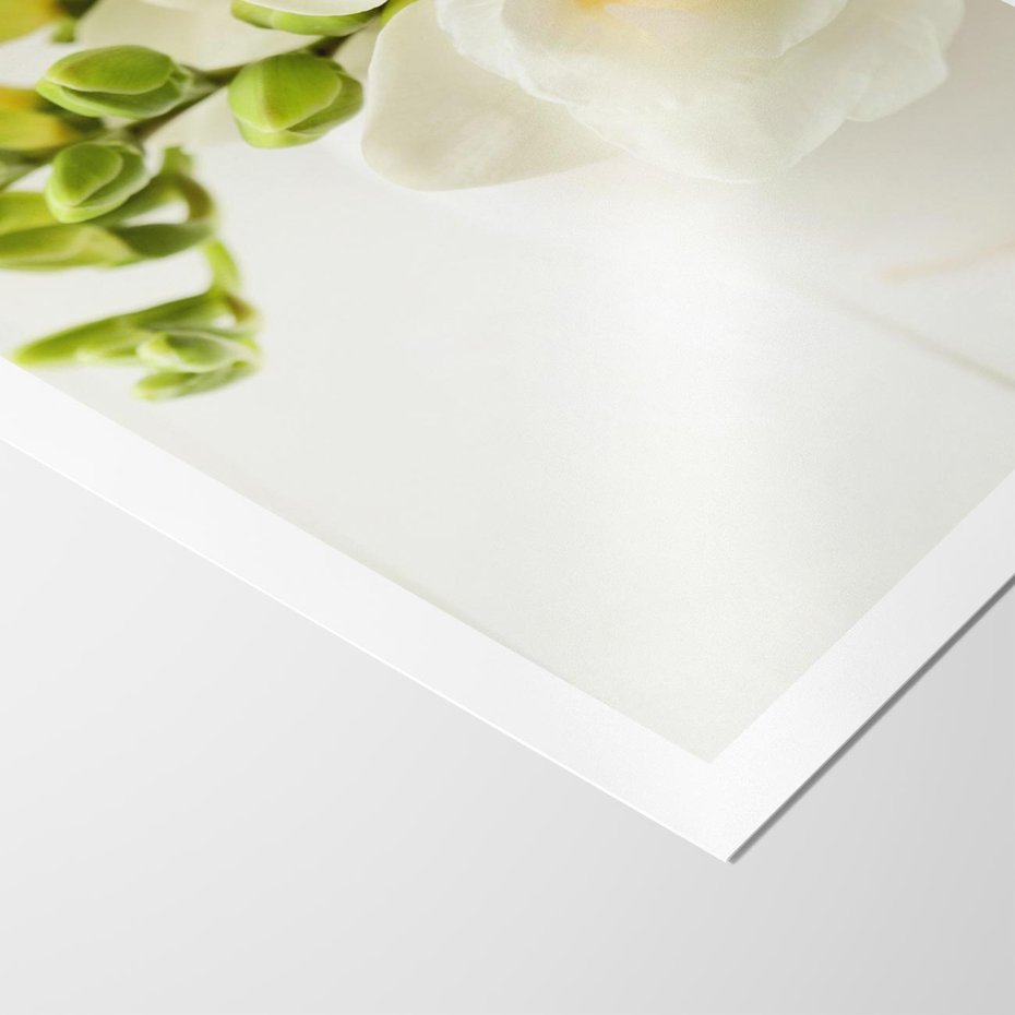 Plakat bez ramy 21x30 - Subtelność białych frezji - frezja, białe