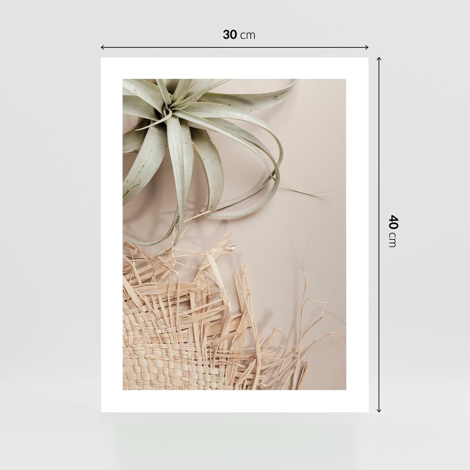Plakat bez ramy 30x40 - Aloes w Stylu Boho - kompozycja, wiklina