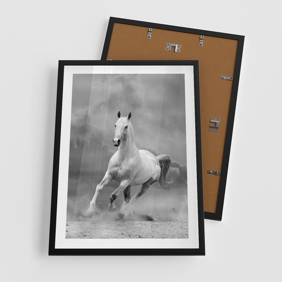 Plakat w ramie 50x70 - Elegancja w Czarno-Białym - koń, biało - rama czarna