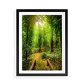 Plakat w ramie 50x70 - Współistnienie z naturą - drzewa, las - rama czarna