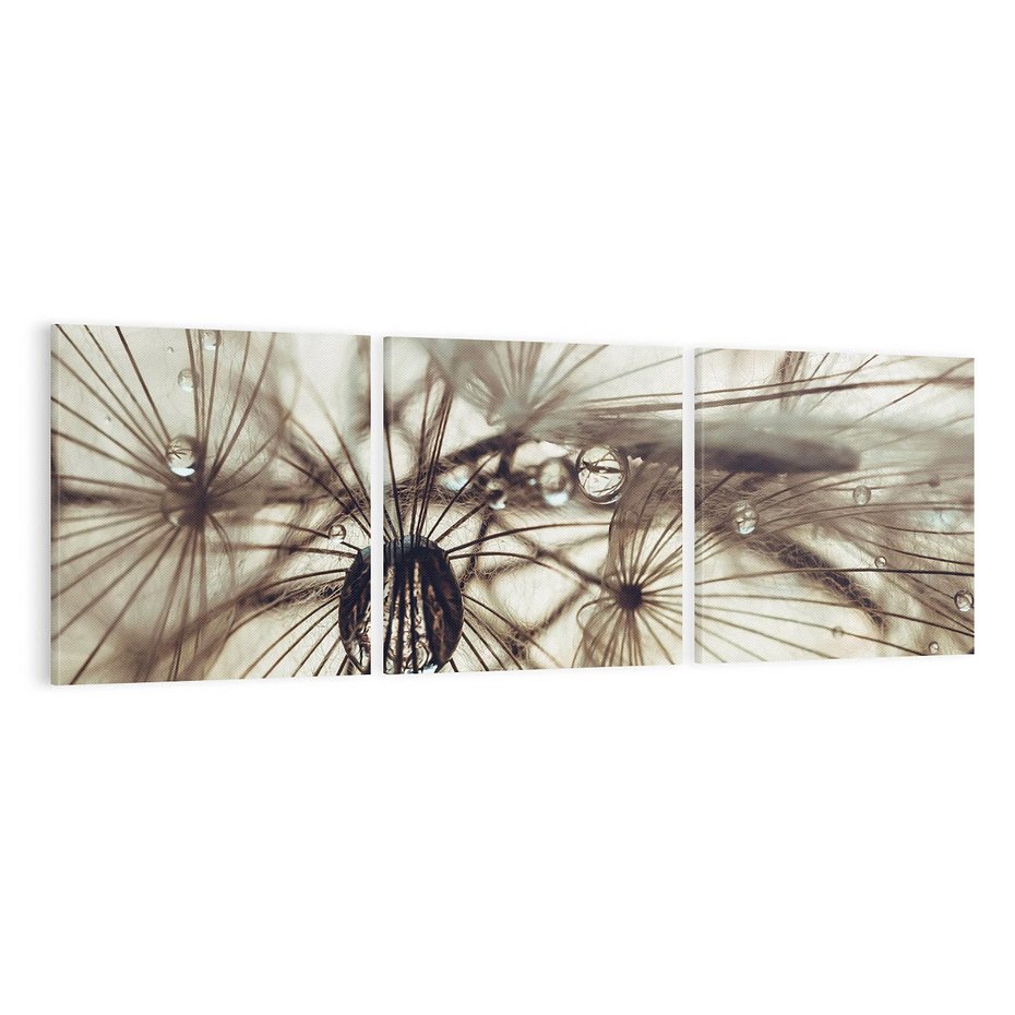 Obraz na płótnie 120x40 - Lekkie dmuchawce - dmuchawce, krople