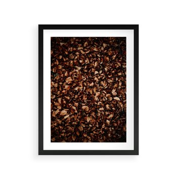 Plakat w ramie 50x70 - Jesienny Dywan - dywan z suchych liści, jesień - rama czarna