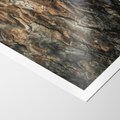 Plakat bez ramy 21x30 - Tekstura Drewna: Zbliżenie - zbliżenie na pień drzewa, tekstura