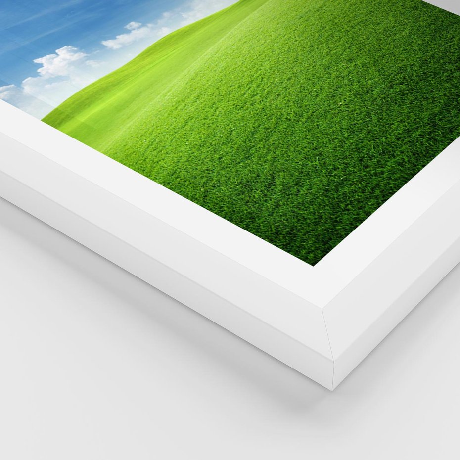 Plakat w ramie 40x50 - Łąka pod Niebem - łąka, niebo - rama biała