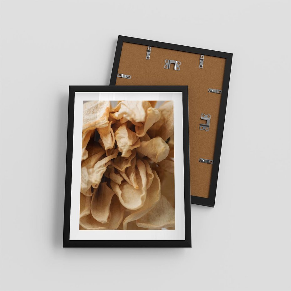 Plakat w ramie 30x40 - Zjawiskowe zasuszone kwiaty - zasuszone, kwiaty - rama czarna