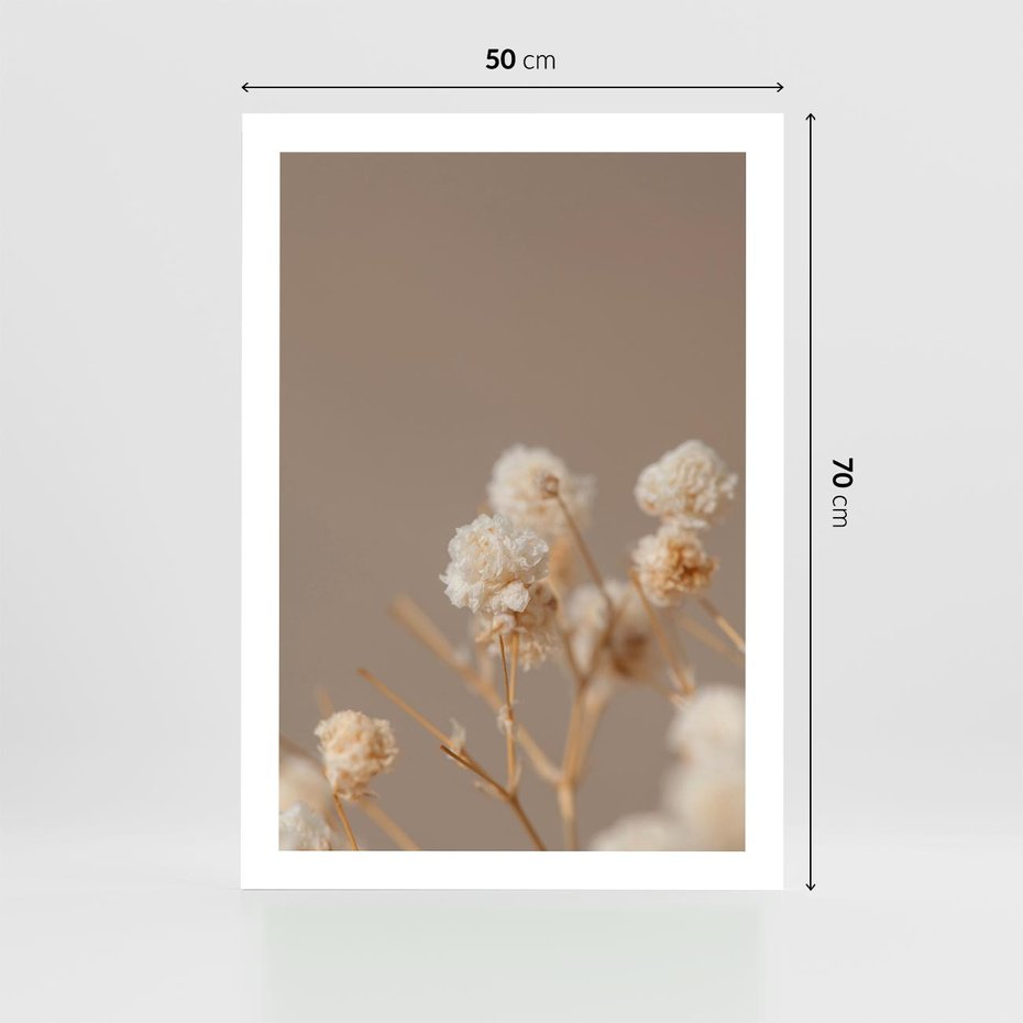 Plakat bez ramy 50x70 - Przezroczyste piękno - gipsówka, suche