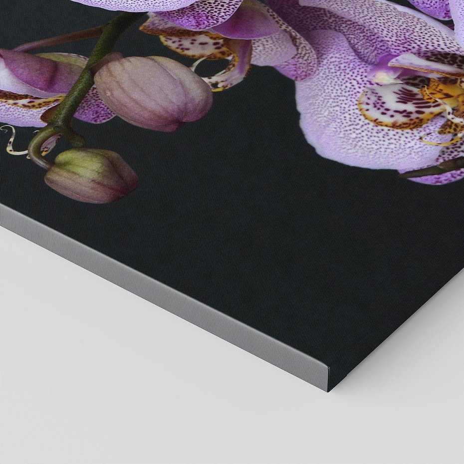 Obraz na płótnie 100x50 - Kwiatowy zachwyt pełen kolorów - kwiat, kwiaty