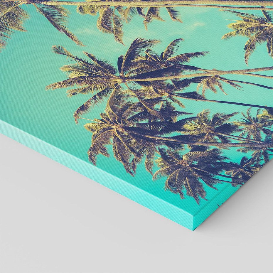 Obraz na płótnie 50x50 - Tropikalne palmy w krainie słonecznych wakacji - palmy, tropiki