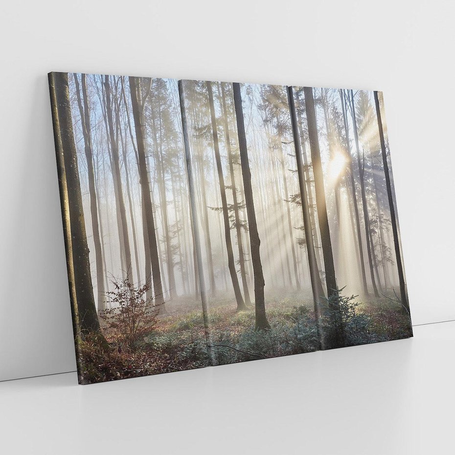 Obraz na płótnie 120x80 - Magiczne zaklęcie: Las pełen drzew - las, drzewa