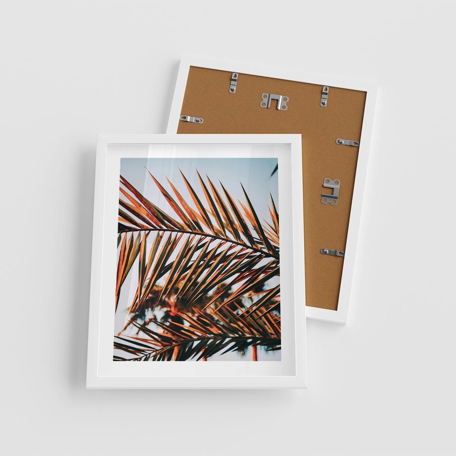 Plakat w ramie 40x50 - Tropikalna Harmonia - palma, liście palmy - rama biała