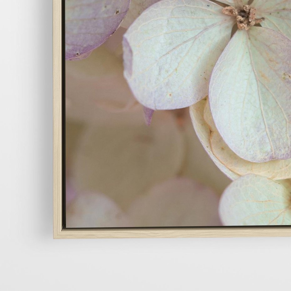 Obraz w ramie 70x50 - Kwiatowy taniec - kwiaty, hortensje - rama drewno