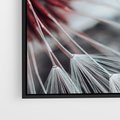 Obraz w ramie 50x50 - Makro świat dmuchawca - dmuchawiec, makro - rama czarna