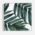 Obraz w ramie 50x50 - Ruchome liście czasu - liście palmy, tropikalne - rama biała