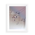 Plakat w ramie 50x70 - Delikatne Natchnienie - krople, dmuchawce - rama biała