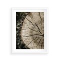Plakat w ramie 40x50 - Wnętrze Natury - pień, przecięty pień - rama biała