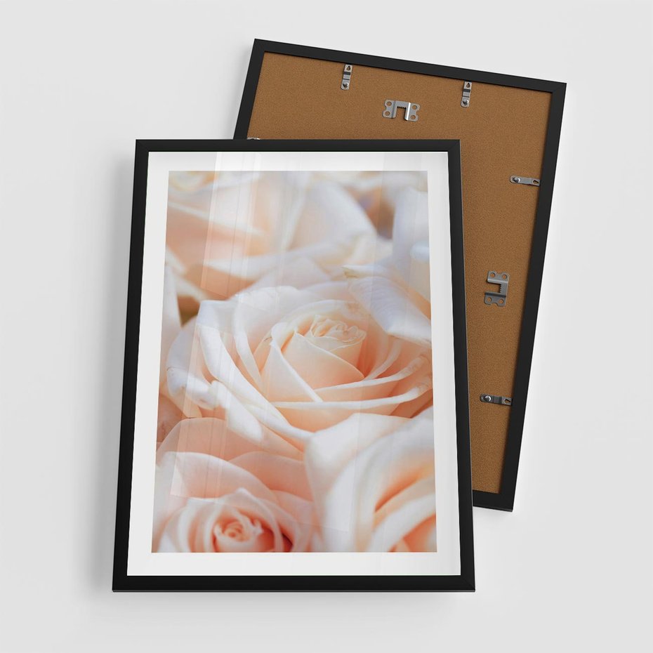 Plakat w ramie 50x70 - Aromatyczna Piękność - płatki herbacianej róży, kwiaty - rama czarna