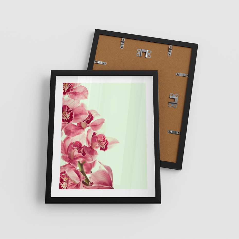 Plakat w ramie 40x50 - Orchidea - delikatne kwiaty - orchidea, kwiaty - rama czarna