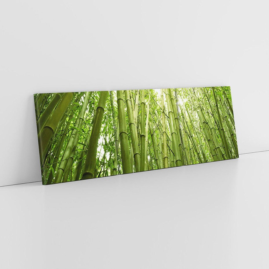 Obraz na płótnie 90x30 - Siła Natury - drzewa, las