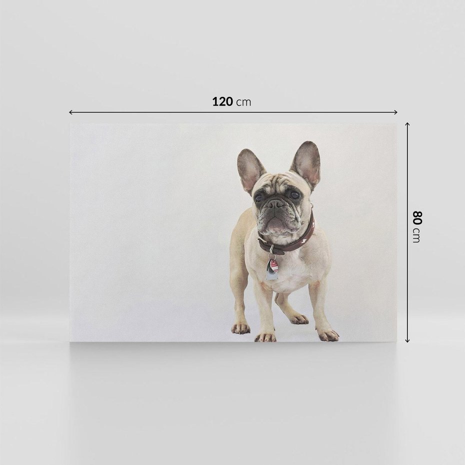 Obraz na płótnie 120x80 - Wernisaż psiego wdzięku - pies, piesek