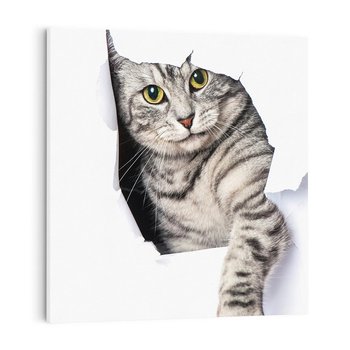 Obraz na płótnie 30x30 - Tajemniczy kot i jego świat - kot, dziura